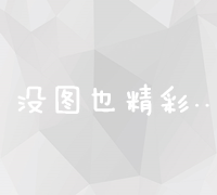 高效智能软件优化器：加速性能，释放隐藏潜力